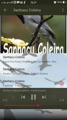 Play Canto de Sanhacu Coleira