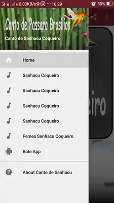 Play Canto de Sanhacu Coqueiro
