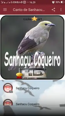 Play Canto de Sanhacu Coqueiro