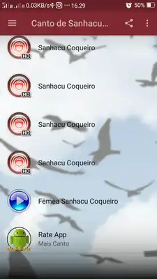 Play Canto de Sanhacu Coqueiro