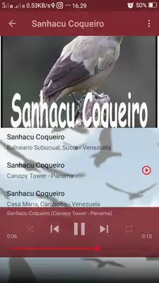 Play Canto de Sanhacu Coqueiro