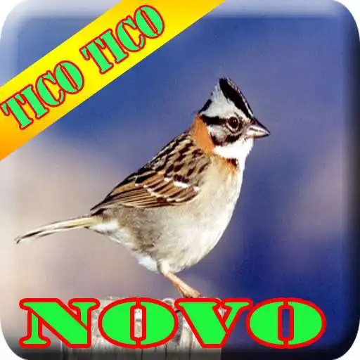 Play APK Canto de Tico Tico Completo HD  and enjoy Canto de Tico Tico Completo HD with UptoPlay 