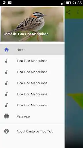Play APK Canto de Tico Tico Mariquinha  and enjoy Canto de Tico Tico Mariquinha with UptoPlay 