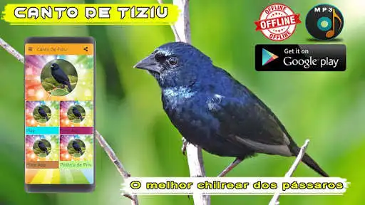 Play Canto de Tiziu as an online game Canto de Tiziu with UptoPlay