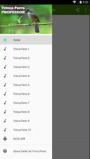 Play Canto de Trinca Ferro Professor HD  and enjoy Canto de Trinca Ferro Professor HD with UptoPlay