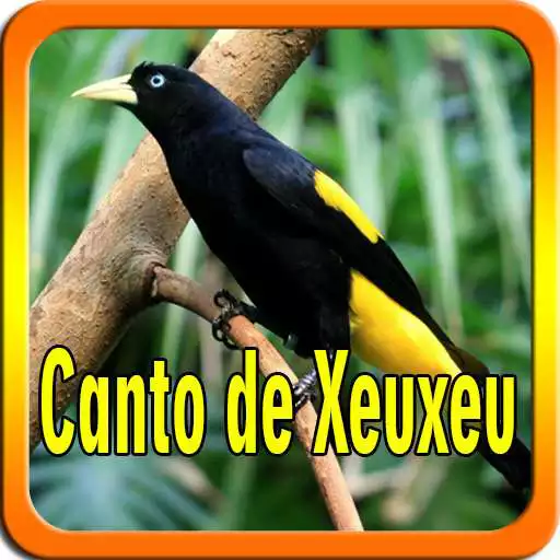 Play Canto de Xeuxeu APK