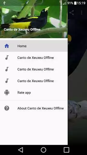 Play Canto de Xeuxeu  and enjoy Canto de Xeuxeu with UptoPlay