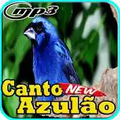 Free play online Canto do Azulao Fibra Para Encartar Mp3 APK Free play online Canto do Azulao Fibra Para Encartar Mp3 APK