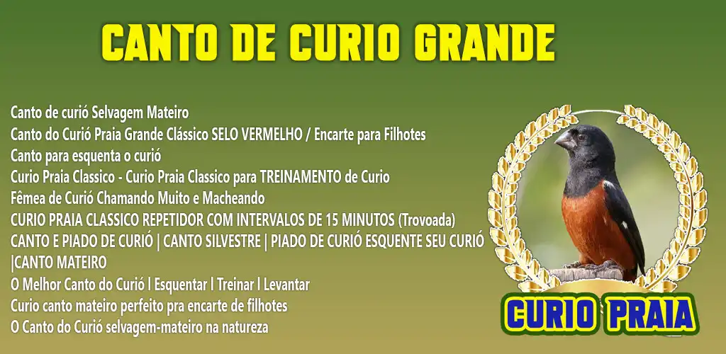Play Canto do Curió Praia Grande  and enjoy Canto do Curió Praia Grande with UptoPlay