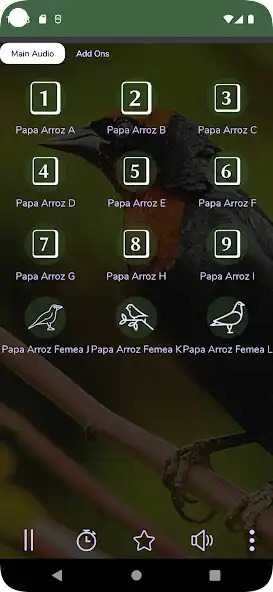 Play Canto do Papa Arroz and enjoy Canto do Papa Arroz with UptoPlay Play Canto do Papa Arroz and enjoy Canto do Papa Arroz with UptoPlay