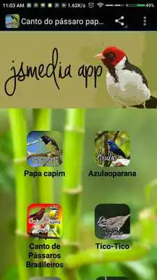 Play Canto do Papa Capim New