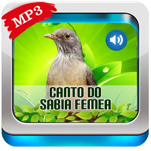 Play Canto Do Sabiá Fêmea APK Play Canto Do Sabiá Fêmea APK