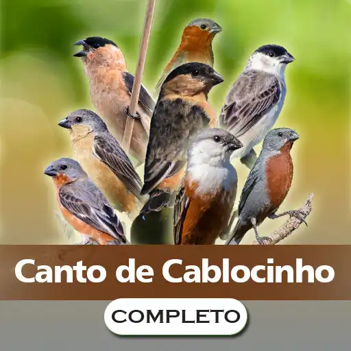Play Canto dos Caboclinho Completo APK