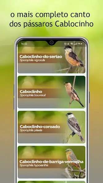 Play Canto dos Caboclinho Completo as an online game Canto dos Caboclinho Completo with UptoPlay