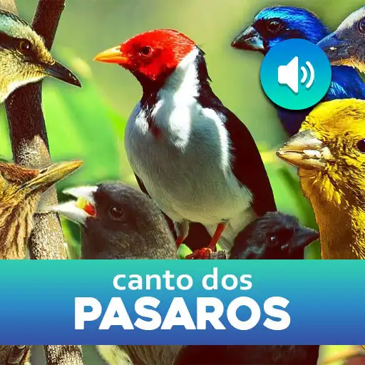Play Canto dos Pássaros Brasileiros APK Play Canto dos Pássaros Brasileiros APK