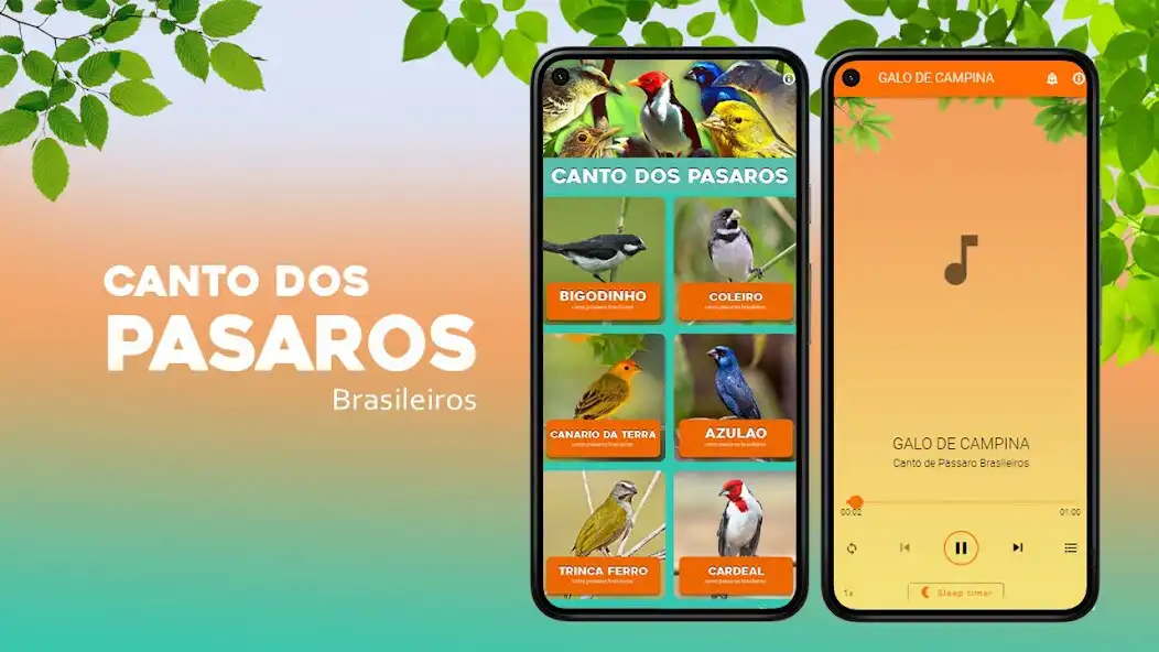 Play Canto dos Pássaros Brasileiros  and enjoy Canto dos Pássaros Brasileiros with UptoPlay