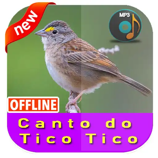 Play Canto Do Tico Tico APK
