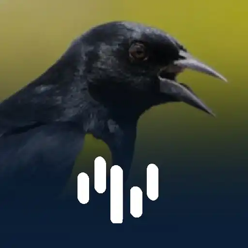 Play Canto Do Xexéu De Bananeira APK