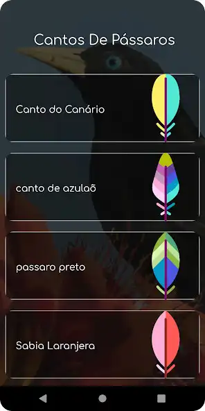 Play Canto do Xexéu and enjoy Canto do Xexéu with UptoPlay Play Canto do Xexéu and enjoy Canto do Xexéu with UptoPlay