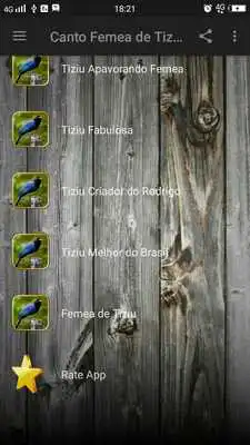Play Canto Femea de Tiziu Muleque