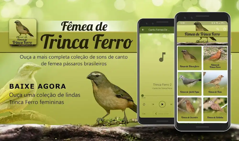 Play Canto Fêmea de Trinca Ferro  and enjoy Canto Fêmea de Trinca Ferro with UptoPlay