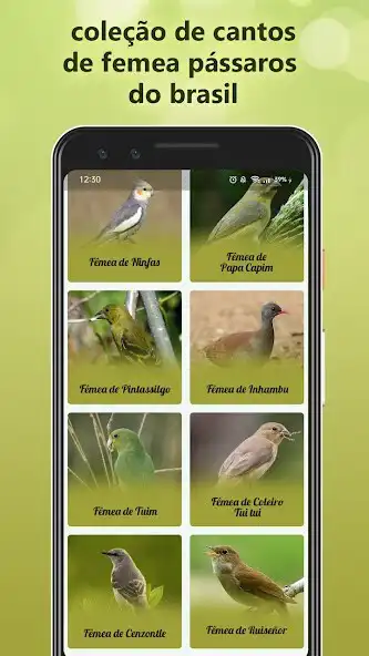 Play Canto Fêmea de Trinca Ferro as an online game Canto Fêmea de Trinca Ferro with UptoPlay