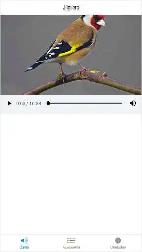 Play Canto jilguero  and enjoy Canto jilguero with UptoPlay