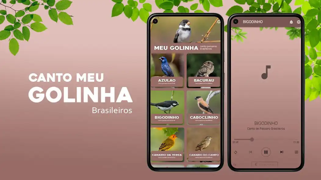 Play Canto Me Golinha  and enjoy Canto Me Golinha with UptoPlay