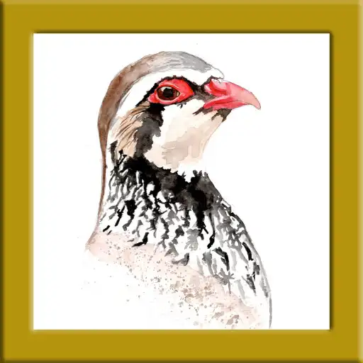 Play Canto Perdiz APK