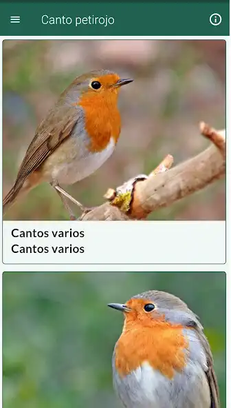 Play Canto petirojo  and enjoy Canto petirojo with UptoPlay
