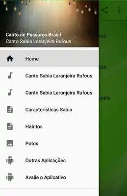 Play Canto Sabia Laranjeira Rufous