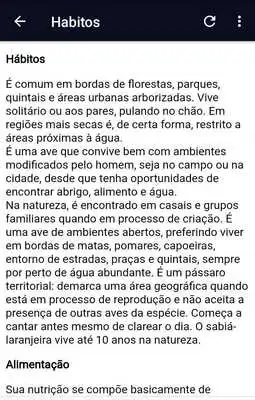 Play Canto Sabia Laranjeira Rufous