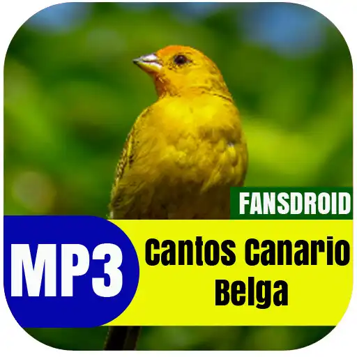 Play Cantos Canario Belga APK Play Cantos Canario Belga APK