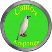 Free play online Cantos de Araponga APK Free play online Cantos de Araponga APK