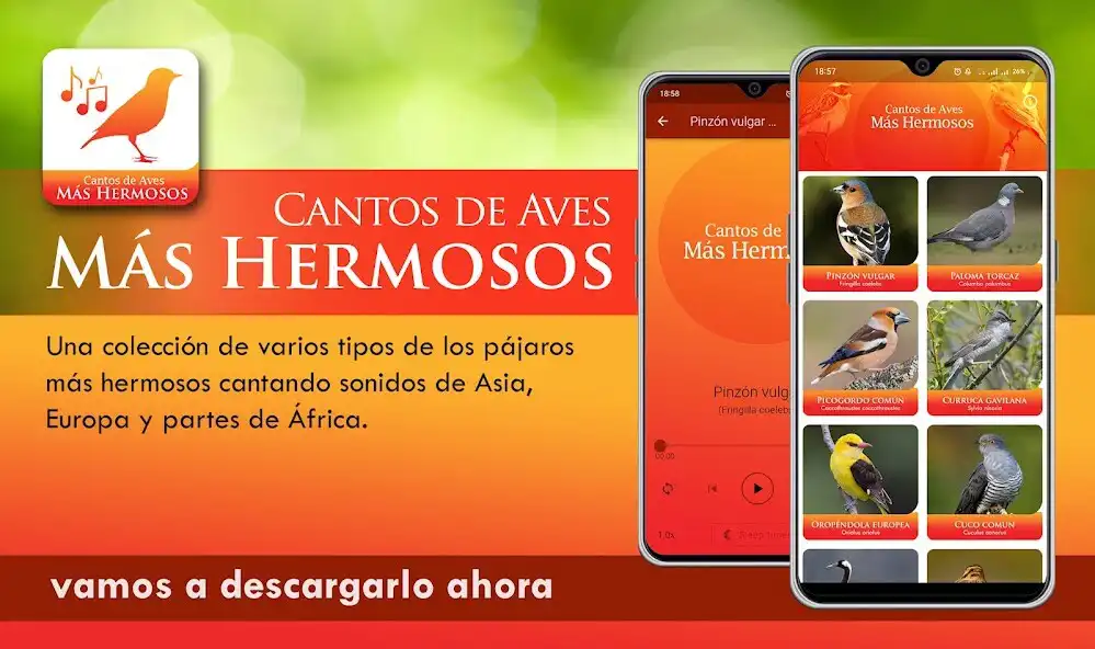 Play Cantos de Aves Más Hermosos  and enjoy Cantos de Aves Más Hermosos with UptoPlay