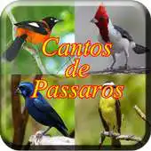 Free play online Cantos De Passaros Completo APK