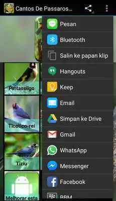 Play Cantos De Passaros Completo Play Cantos De Passaros Completo