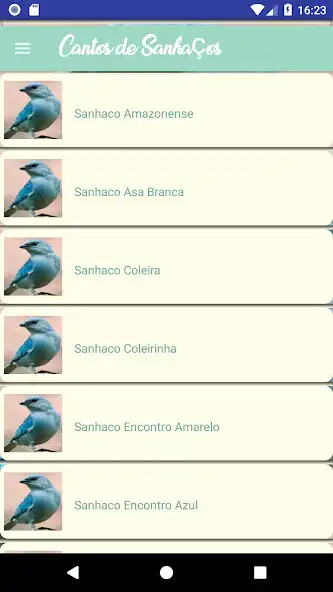 Play Cantos de Sanhaço  and enjoy Cantos de Sanhaço with UptoPlay