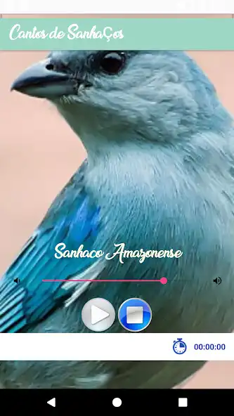 Play Cantos de Sanhaço as an online game Cantos de Sanhaço with UptoPlay