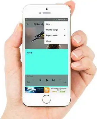 Play Cantos Do Pintassilgo