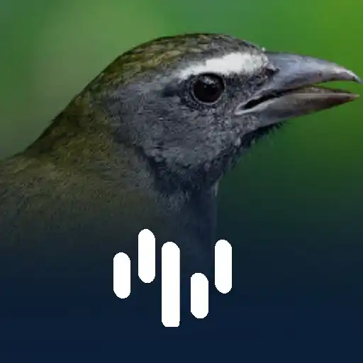 Play Cantos do Trinca Ferro APK