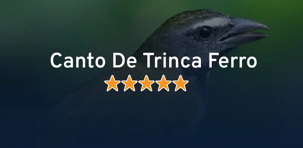 Play Cantos do Trinca Ferro  and enjoy Cantos do Trinca Ferro with UptoPlay