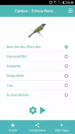 Play Cantos Trinca-ferro, Bom Dia Seu Chico, Grego Mole