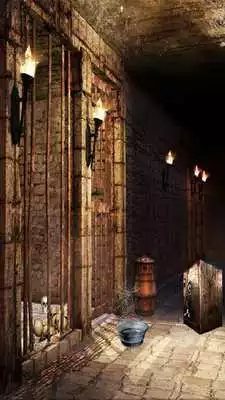 Play Can You Escape Medieval Prison