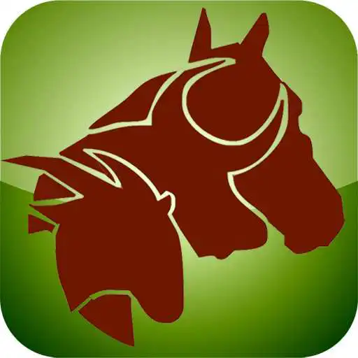 Free play online Capital Raising Livestock APK