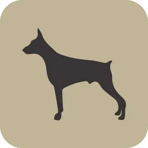 Play Capital Solutions APK Play Capital Solutions APK