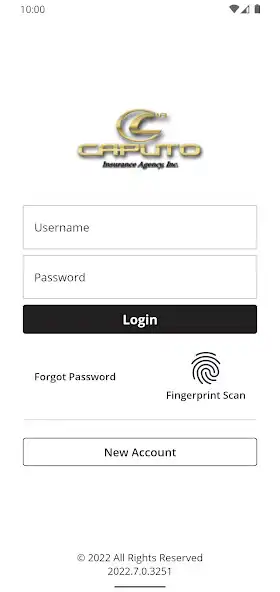 Play Caputo Insurance Agency Online  and enjoy Caputo Insurance Agency Online with UptoPlay