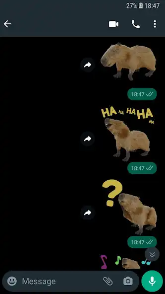 Play Capybara Sticker  and enjoy Capybara Sticker with UptoPlay