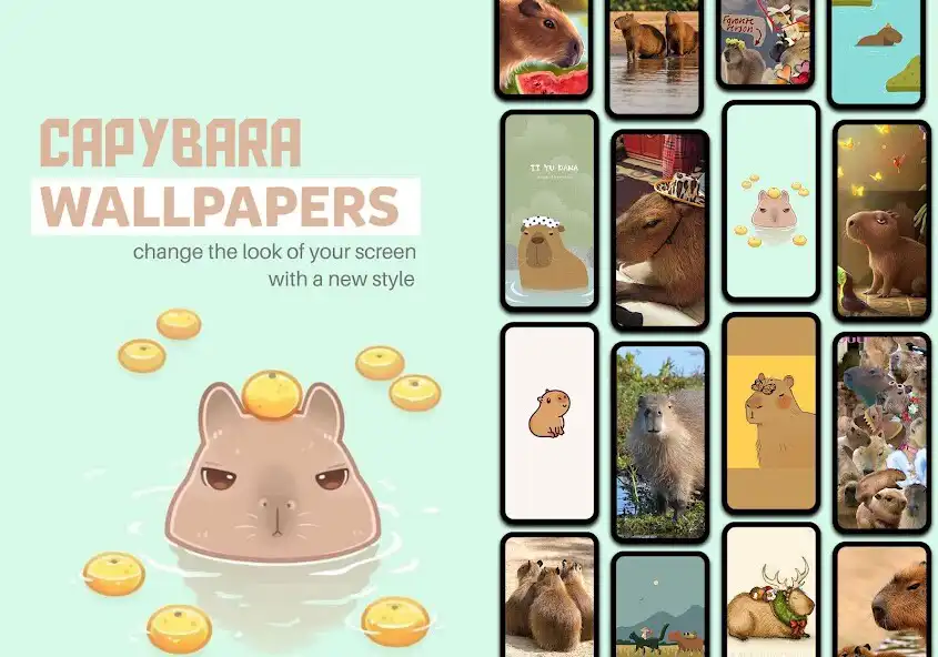 Play Capybara Wallpaper HD  and enjoy Capybara Wallpaper HD with UptoPlay