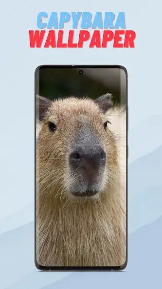 Play Capybara Wallpaper HD as an online game Capybara Wallpaper HD with UptoPlay